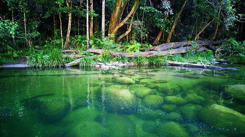 Cairns Adventure Package- 4 Tours In 3 Days! - Accommodation QLD 6