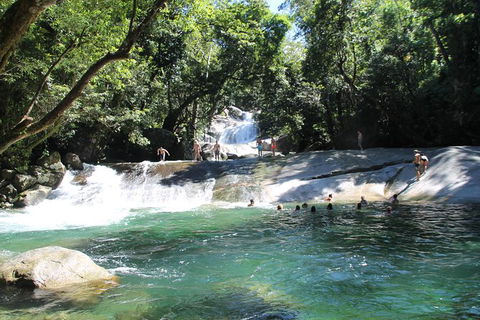 Cairns Adventure Package- 4 Tours In 3 Days! - Accommodation QLD 7