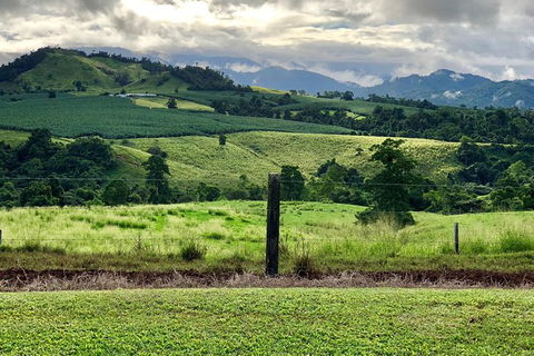 Tableland Tasting Tour - Accommodation QLD 0