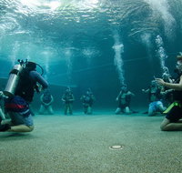 Learn To Scuba Dive 4 Day Great Barrier Reef PADI Open Water Course Day Trips