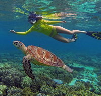 3 Day Cape Tribulation and Great Barrier Reef Package