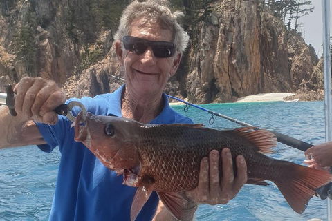 Adventure Fishing Combo Day - Fish, Swim, Whitehaven, Hill Inlet Bush Walking - Accommodation QLD 10