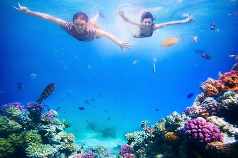 Adventure Fishing Combo Day - Fish, Swim, Whitehaven, Hill Inlet Bush Walking - Accommodation QLD 5