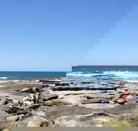 Sunshine Coast Rocky Shore Educational Eco Tour - Accommodation QLD