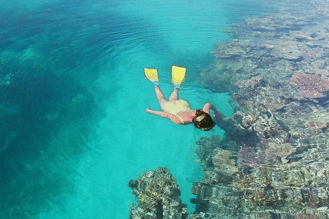 Great Barrier Reef Private Expedition Cruise (min 4 Day Max 8 Guests) - Accommodation QLD 6