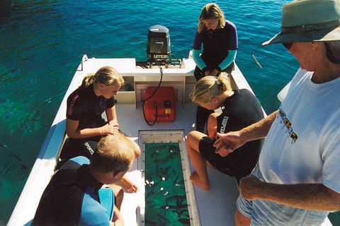 Great Barrier Reef Private Expedition Cruise (min 4 Day Max 8 Guests) - Accommodation QLD 1