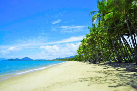 Airport Transfer - Palm Cove, Kewarra Beach & Trinity Beach To Cairns Airport - Accommodation QLD 2