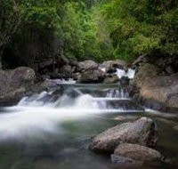 Waterfall and Wallabies Sighting Tour