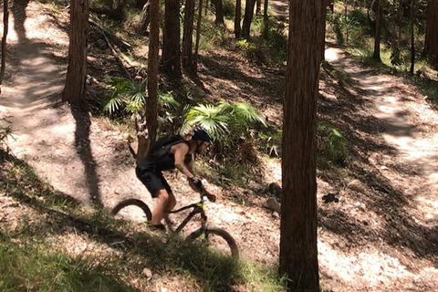 EMtn Bike + Brewery Day Tour - Accommodation QLD 12