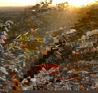 Sunset Abseiling with panoramic views of Noosa's Hinterland and Sunshine Coast - Accommodation QLD