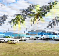Private Transfers - Cairns Airport to Cairns City - Accommodation QLD