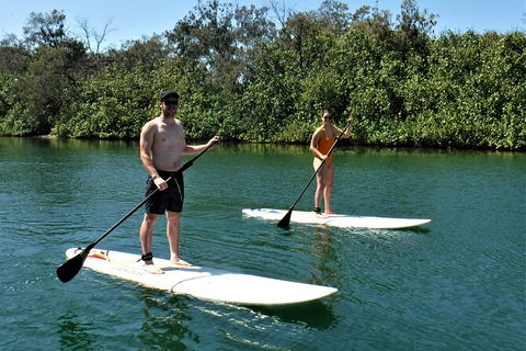 Paddle Board Hire In Surfers Paradise - Accommodation QLD 2