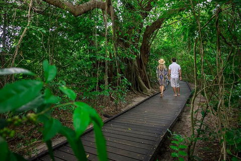 Cairns Pullman Cairns International 5 Nights Package Combo - Accommodation QLD 7