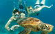 Cairns Pullman Cairns International 5 Nights Package Combo - thumb 4