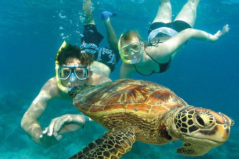 Cairns Pullman Cairns International 5 Nights Package Combo - Accommodation QLD 4