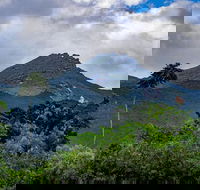 Port Douglas Daintree National Park Boutique Full-Day Tour - Accommodation QLD