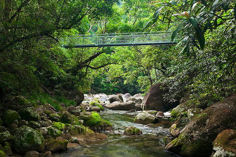 SHUTTLE - Mossman Gorge & Cooya Beach From Port Douglas (Return Transfer) - Accommodation QLD 4