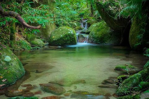 SHUTTLE - Mossman Gorge & Cooya Beach From Port Douglas (Return Transfer) - Accommodation QLD 2
