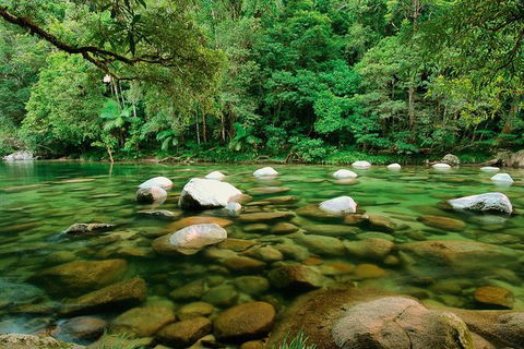 SHUTTLE - Mossman Gorge & Cooya Beach From Port Douglas (Return Transfer) - Accommodation QLD 3