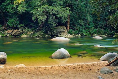 SHUTTLE - Mossman Gorge & Cooya Beach From Port Douglas (Return Transfer) - Accommodation QLD 1