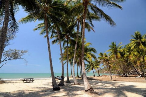 SHUTTLE - Thala Beach And Turtle Cove From Port Douglas (Return Transfer) - Accommodation QLD 2