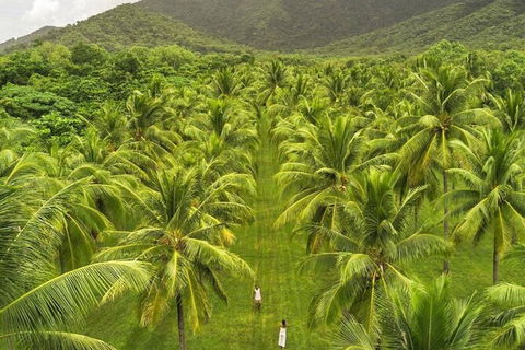 SHUTTLE - Thala Beach And Turtle Cove From Port Douglas (Return Transfer) - Accommodation QLD 1