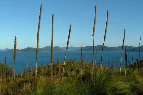 7-Day Private Sea Kayaking In Whitsundays - Accommodation QLD 8