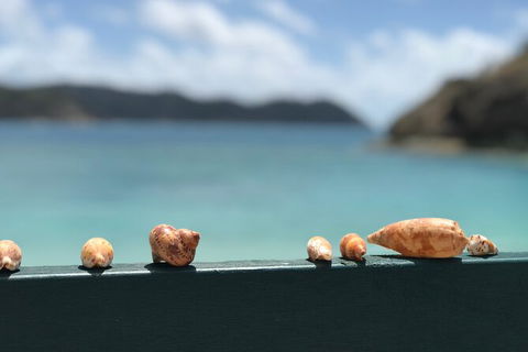 7-Day Private Sea Kayaking In Whitsundays - Accommodation QLD 1