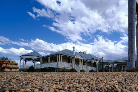 Camel Farm Tour And Taste Near Brisbane - Accommodation QLD 1