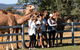 Camel Farm Tour And Taste Near Brisbane - thumb 0