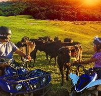 ATV Ride with Petting Zoo Experience in Kuranda from Cairns