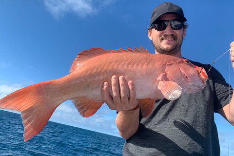 Great Barrier Reef Fishing Charter - Accommodation QLD 3