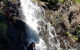 Limited Group Gold Coast Lamington National Park Tour - thumb 7