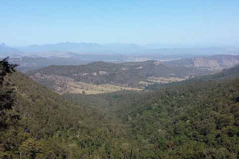 Limited Group Gold Coast Lamington National Park Tour - Accommodation QLD 1