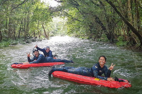 Mossman Gorge Adventure Day - Accommodation QLD 4
