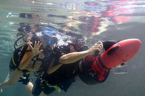 Scuba Kids- Padi Bubblemaker Course - Accommodation QLD 2