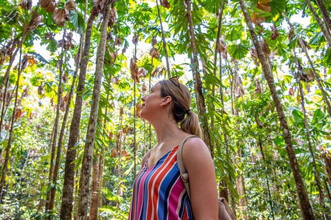 5 Day Australia Retreat: Queensland Daintree - Accommodation QLD 3