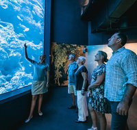 Cairns Aquarium by Twilight with 3 Course Dinner