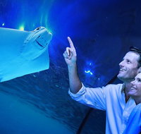 Cairns Aquarium Tour by Twilight with Drink and Appetiser