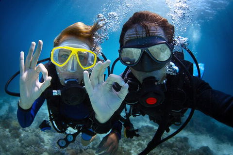 2 Night Whitsunday Islands Cruise On Atlantic Clipper From Airlie Beach - Accommodation QLD 4