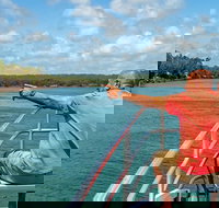 Sandy Straits Scenic  Wildlife Cruise