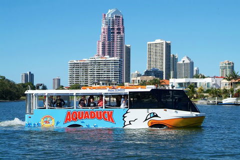 Aquaduck & Paradise Jet Boating Combo - Accommodation QLD 5