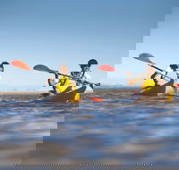 Kangaroo Island Self-Guided Kayaking on the Harriet River - Accommodation QLD
