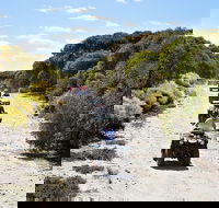 Quad Bike ATV Tours - Accommodation QLD