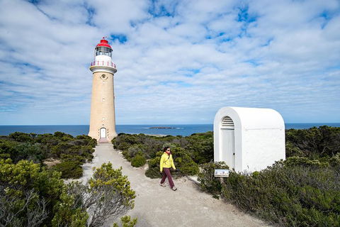 Kangaroo Island Luxury Small Group \'Flinders Chase Focus\' Full Day Tour - Accommodation QLD 8