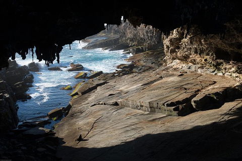 Kangaroo Island Luxury Small Group \'Flinders Chase Focus\' Full Day Tour - Accommodation QLD 6