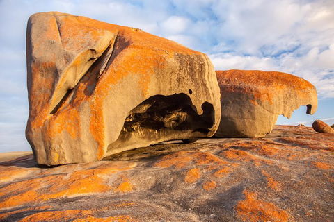Kangaroo Island Luxury Small Group \'Flinders Chase Focus\' Full Day Tour - Accommodation QLD 1