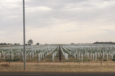 Intimate Wine Experience - Barossa Valley - Accommodation QLD 6