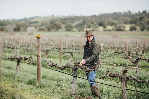 Armagh Vineyard Exclusive Wine Experience And Lunch - Accommodation QLD 0
