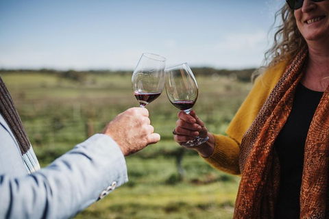 Armagh Vineyard Exclusive Wine Experience And Lunch - Accommodation QLD 1